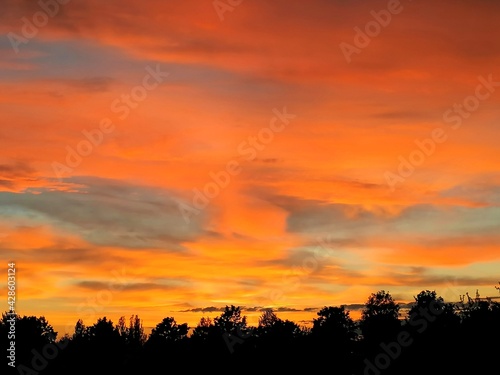 Sunset silhouette - orange red clouds in the sky over tree tops 