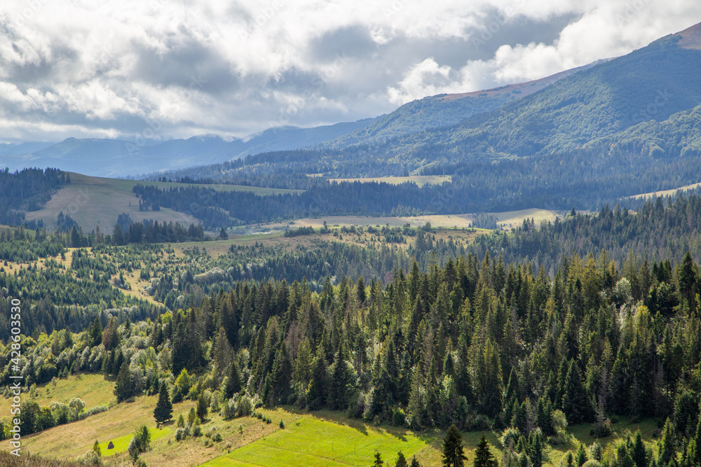 Fototapeta premium coniferous forest and hills on a background of mountains sky in the clouds. Countryside .