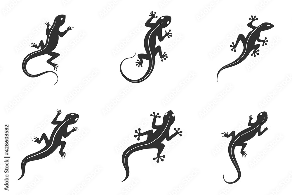 Lizard chameleon, gecko logo or icon vector design template Lizard chameleon, gecko logo or icon vector design template