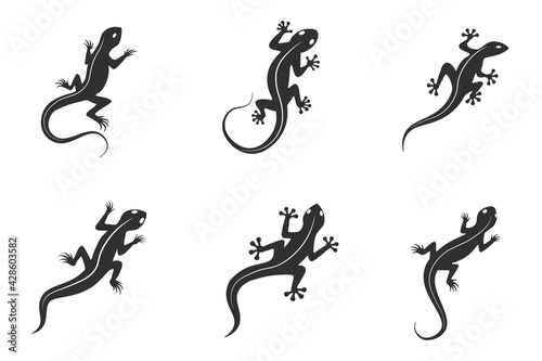 Photo Lizard chameleon, gecko logo or icon vector design template