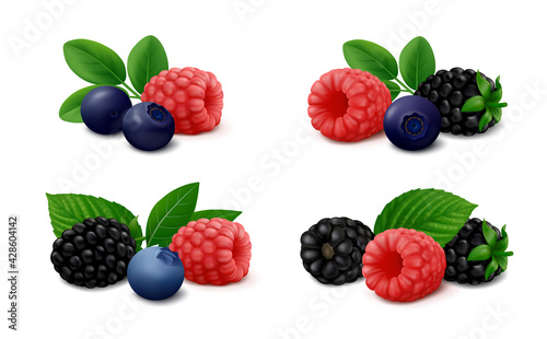 Fototapeta Naklejka Na Ścianę i Meble -  Mix of wild berries – raspberry, blackberry, blueberry and bilberry with green leaves, isolated on white background. Realistic vector illustration.