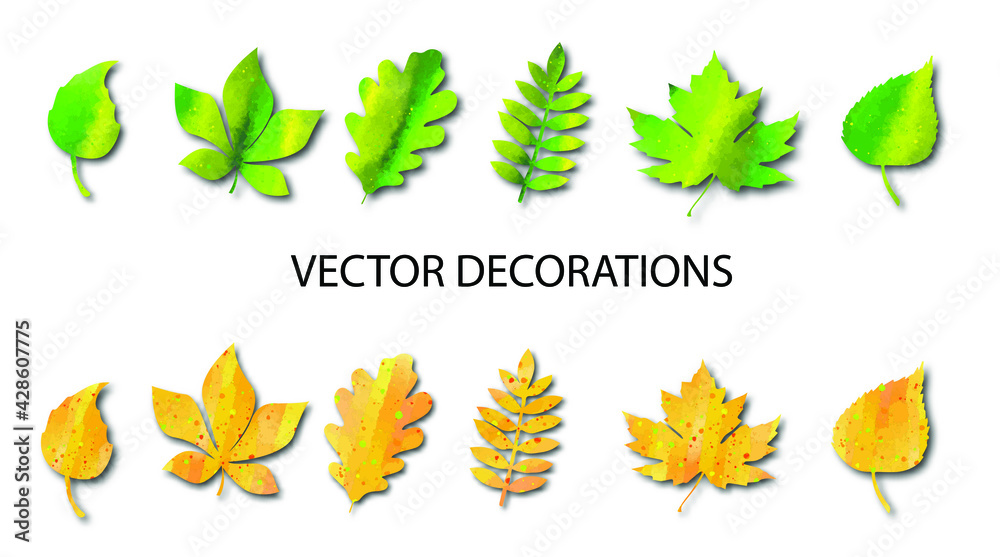 Obraz premium Autumn leaves with watercolor texture. Birch, oak, maple, mountain ash, chestnut. Set of vector decorations.