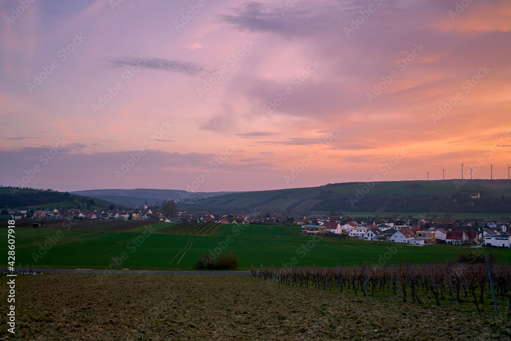 Landschaft und Weinberge bei Stammheim am Main im Abendlicht, Landkreis Schweinfurt, Unterfranken, Franken,  Bayern, Deutschland