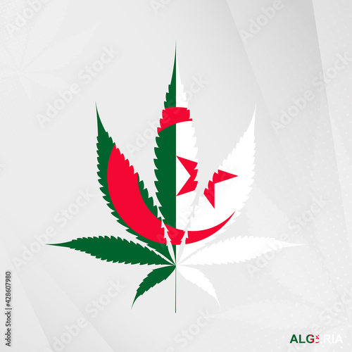 Flag of Algeria in Marijuana leaf shape. The concept of legalization Cannabis in Algeria.