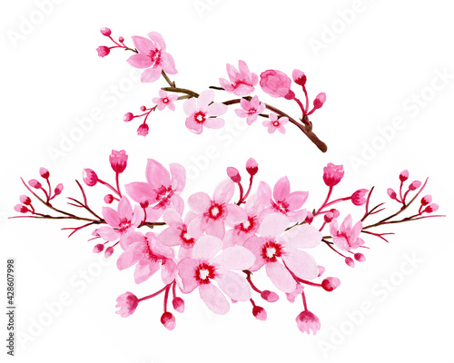 Watercolor clipart Sakura, Cherry Branches, Blossom, Branches .Sakura Wreaths, Watercolor floral clipart.