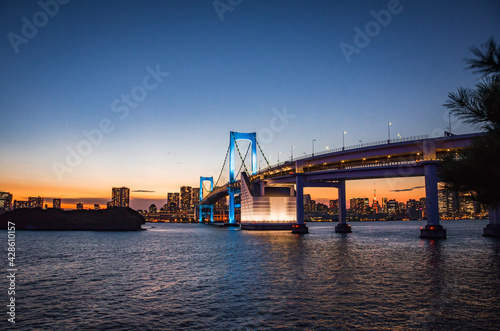 Cityscape view of Tokyo Bay , Rainbow bridge and Tokyo Tower at Sunset © WK