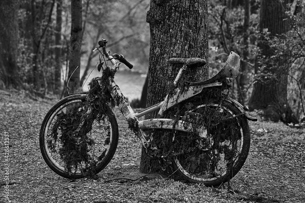 Obraz premium Unterwasserfahrrad