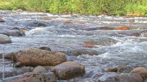 Mountain river runs over red granite stones. Water collides with boulders, forms waves and boils. Stream flows down in ledges. Opposite bank is covered with green bushes