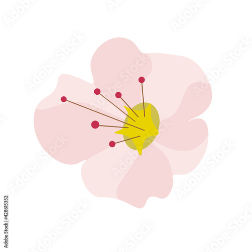 pink flower