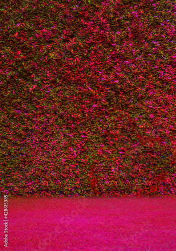 Bright red dyed tree image for fashion setting background.