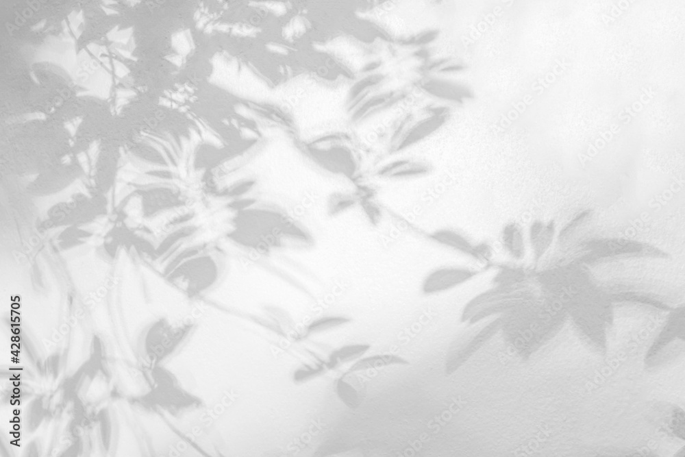 Leaf shadow and light on wall blur background. Nature tropical leaves