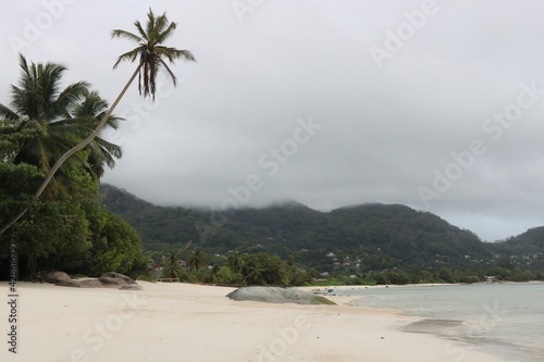 Scene from Seychelles