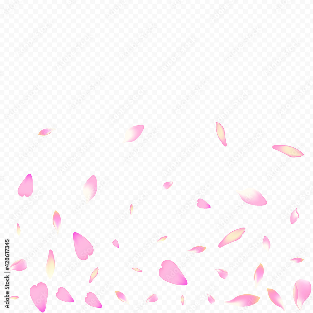 Color Peach Vector Transparent Background. Tree Wedding Illustration