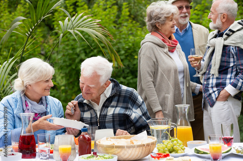 Group of happy senior people during garden party