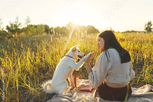Stylish woman training her white dog on blanket in warm sunny light in summer meadow. Picnic