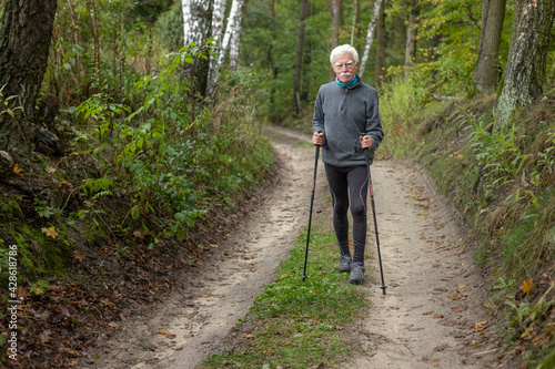 Handsome elderly man enjoying his nordic walking workout
