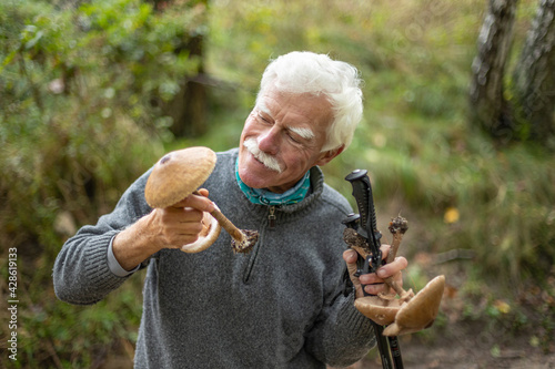 A close-up of a happy, smiley senior man collecting mushrooms in the forest while nordic walking.