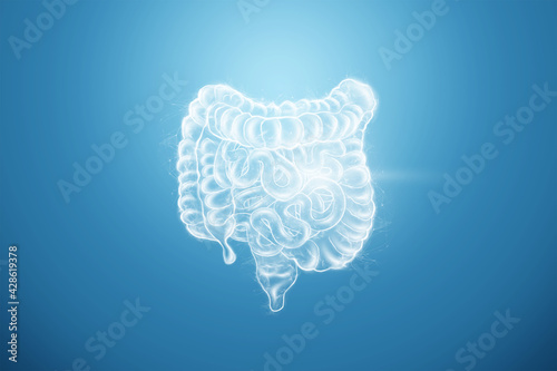 Intestines hologram on a blue background. Constipation concept, bowel disorder, body scan, digital x-ray, abdominal organs. 3D illustration, 3D render. photo