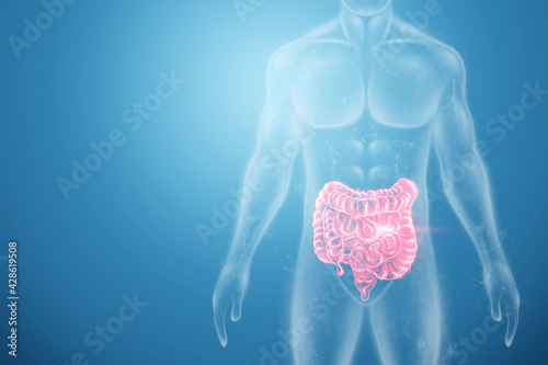 Fotografie A holographic projection of a red irritable bowel scan with medical data