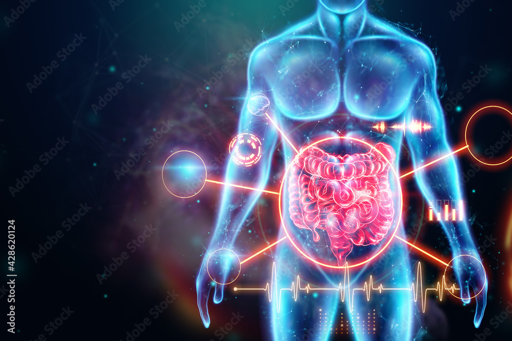 A holographic projection of a red irritable bowel scan with medical ...