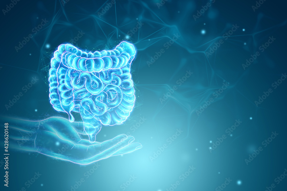 A holographic projection of a scan of the intestine on a blue background. Concept of new technologies, bowel disorder, body scan, digital x-ray, modern medicine. 3D illustration, 3D render. - obrazy, fototapety, plakaty 