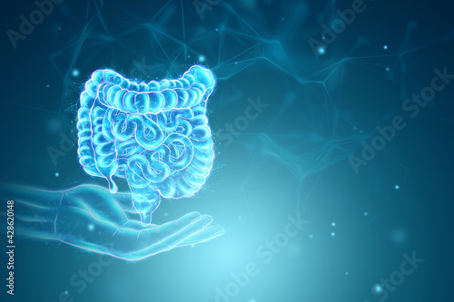 A holographic projection of a scan of the intestine on a blue background. Concept of new technologies, bowel disorder, body scan, digital x-ray, modern medicine. 3D illustration, 3D render. photo