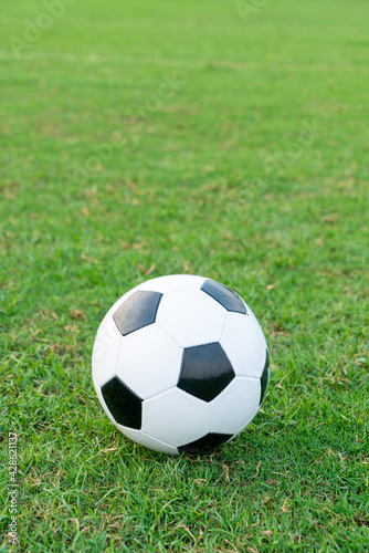 Soccer ball on the ball field