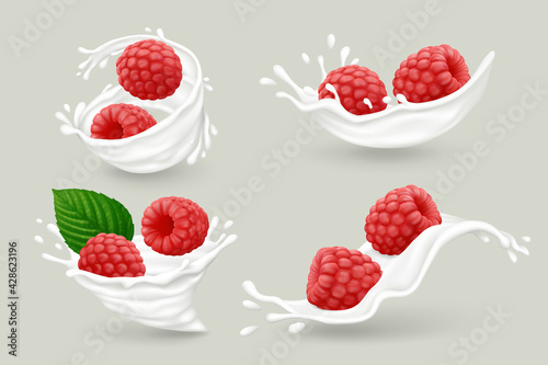 Milk splashes with red raspberry fruits and green leaf isolated on gray background. Realistic vector illustration.