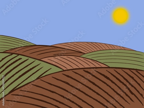 rural landscape with fields and arable land illustration