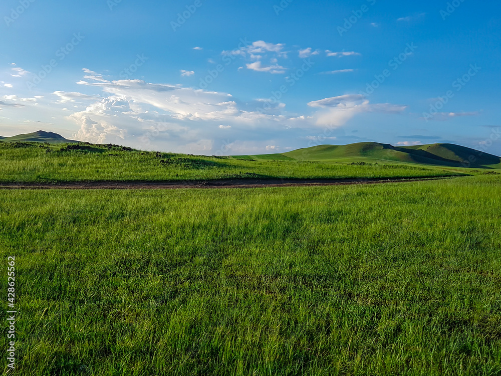A panoramic view on a hilly landscape of Xilinhot in Inner Mongolia. Endless grassland with a few wildflowers between. Blue sky with thick, white clouds. Higher hills in the back. Mongolian grassland