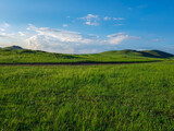 A panoramic view on a hilly landscape of Xilinhot in Inner Mongolia. Endless grassland with a few wildflowers between. Blue sky with thick, white clouds. Higher hills in the back. Mongolian grassland