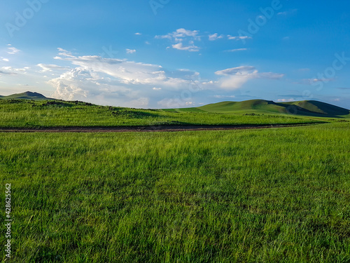 A panoramic view on a hilly landscape of Xilinhot in Inner Mongolia. Endless grassland with a few wildflowers between. Blue sky with thick, white clouds. Higher hills in the back. Mongolian grassland © Chris