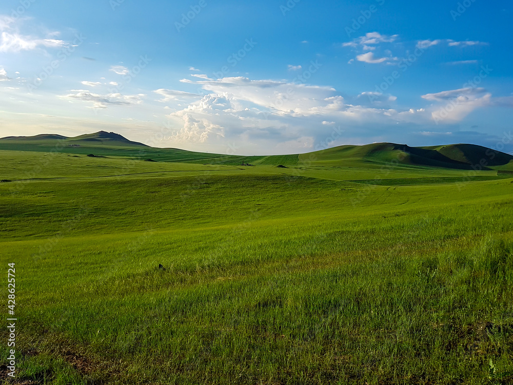 A panoramic view on a hilly landscape of Xilinhot in Inner Mongolia. Endless grassland with a few wildflowers between. Blue sky with thick, white clouds. Higher hills in the back. Mongolian grassland A panoramic view on a hilly landscape of Xilinhot in Inner Mongolia. Endless grassland with a few wildflowers between. Blue sky with thick, white clouds. Higher hills in the back. Mongolian grassland