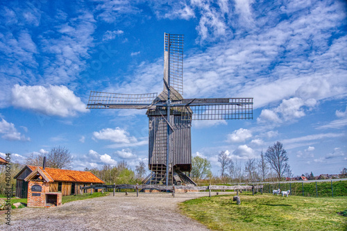 Obraz na płótnie Windmühle NRW w salonie