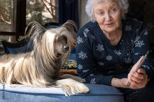 Lady an elderly woman with a Chinese crested dog on the couch at home.