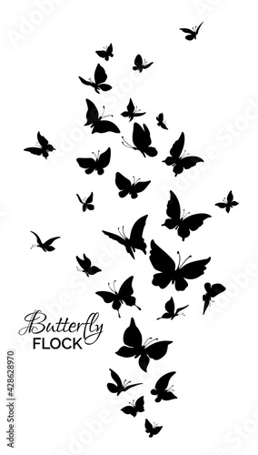 Flock of butterflies. Silhouettes of flying butterflies.