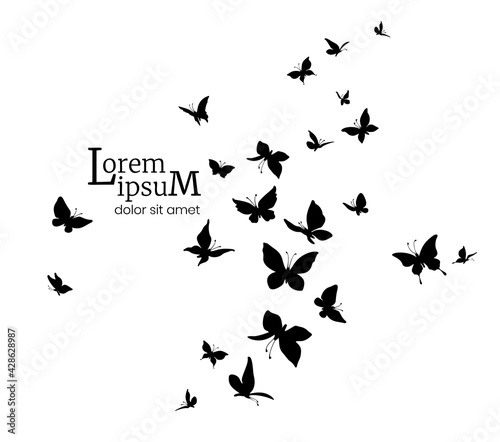 Flock of butterflies. Logo design template. silhouettes of flying butterflies.