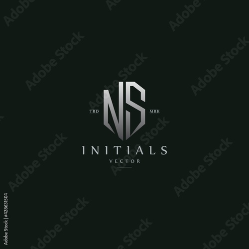 classy NS vintage metal monogram logo. elegant silver initials icon premium vector design template
