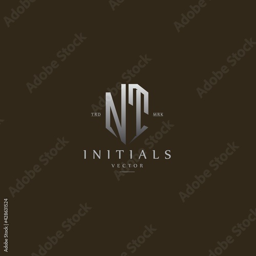 classy NT vintage metal monogram logo. elegant silver initials icon premium vector design template