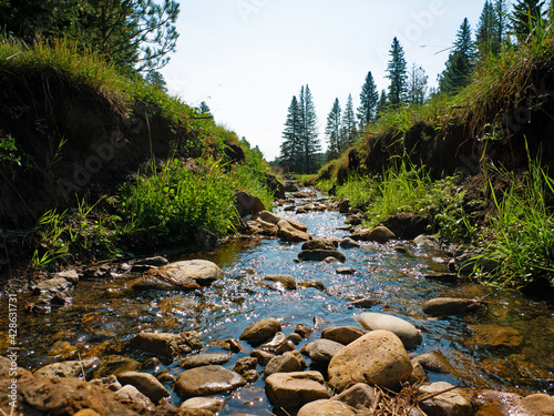 mountain river in the forest, Deadwood South Dakota