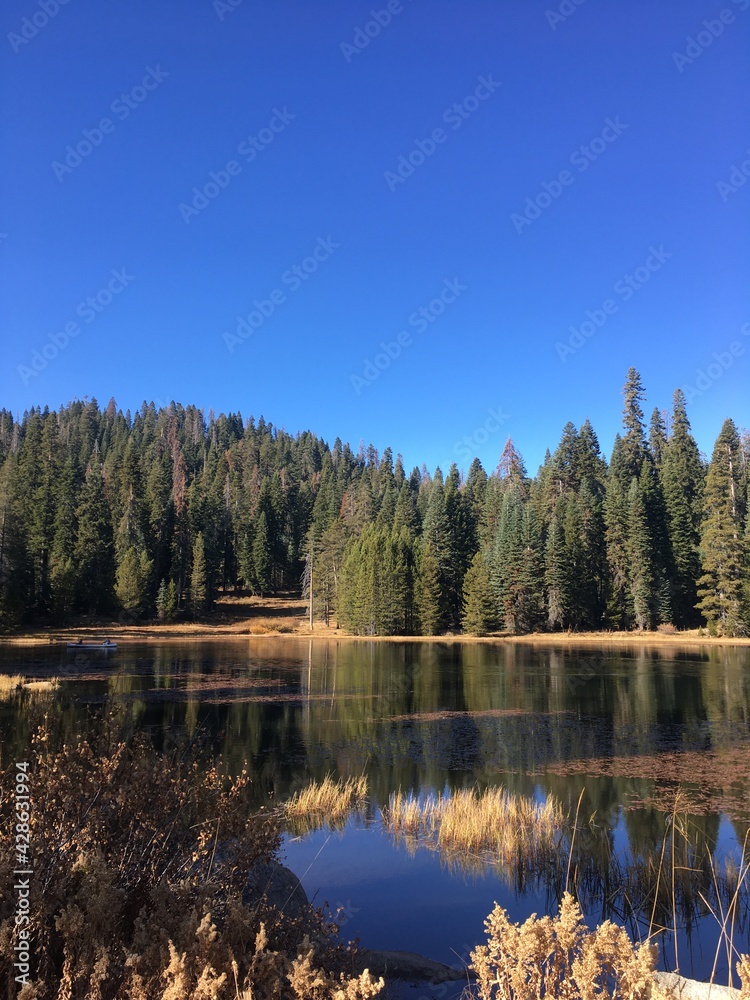 sequoia lake