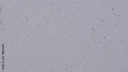 Beautiful natural falling snow, first person view (darker version)