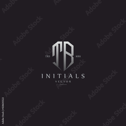 classy TB vintage metal monogram logo. elegant silver initials icon premium vector design template