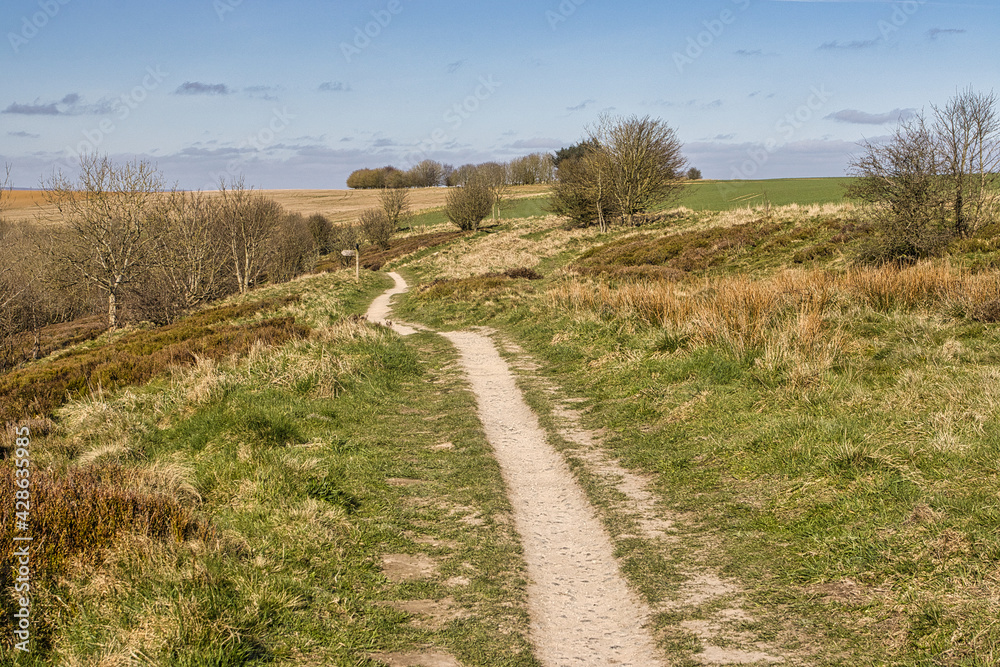 View of the Cleveland Way footpath at Sutton Bank, North Yorkshire, England, UK.