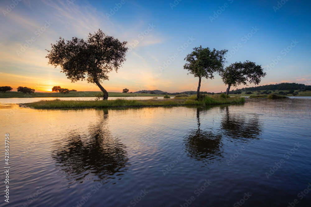 A landscape in Santa Susana, Alentejo region of Portugal with olive trees surrounded by water in a damm lake at sunset