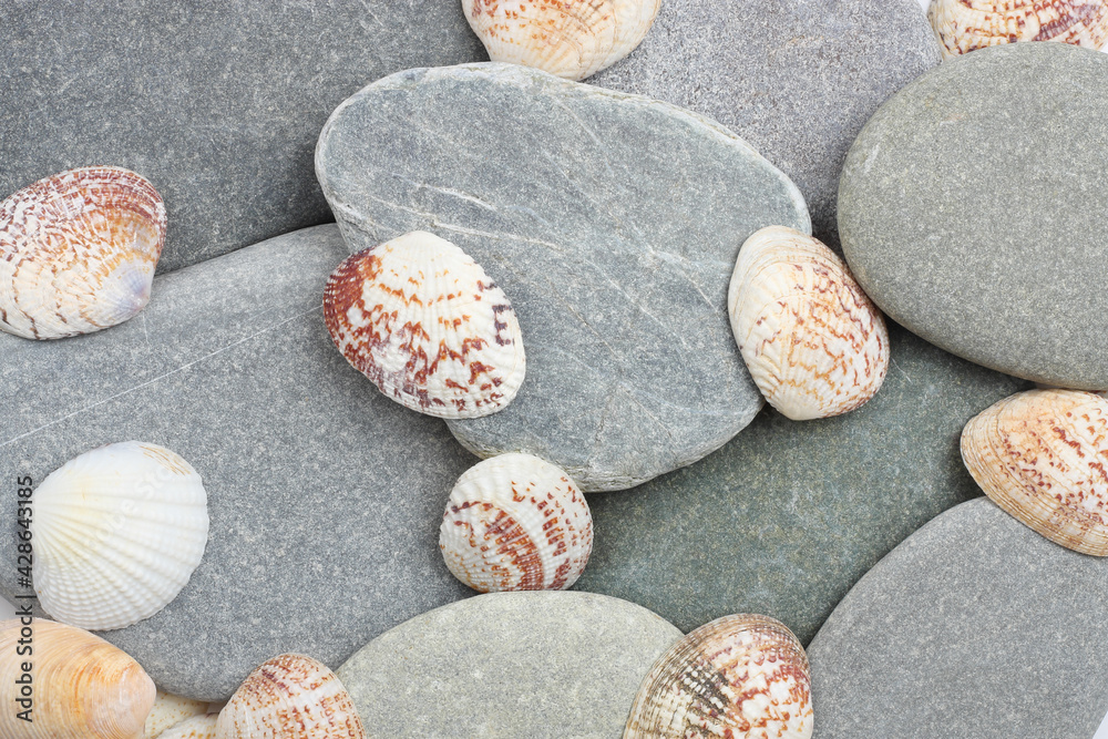 Stones, sea, shell, top view, background.