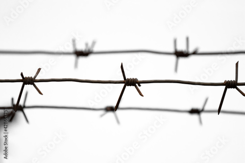 Barbed wire made of rusty iron wire with pointed ends against the white clear sky is a metal old dangerous fence. The barbed wire is pulled up close-up across the entire photo horizontally.
