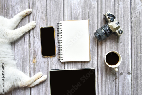 Still life, business or traveler memo concept, Top view image of open notebook with vintage camera coffee tablet and cat disturb with blank pages on old brown wooden background