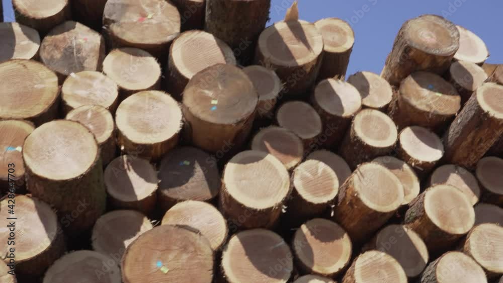 stockage de bois tronc d'arbre
