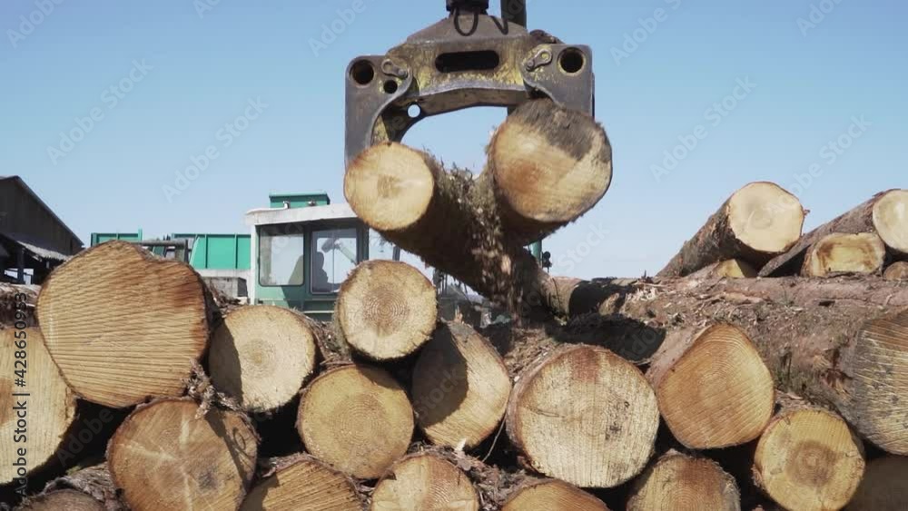 Grue attrapant des buches de bois tronc d'arbre
